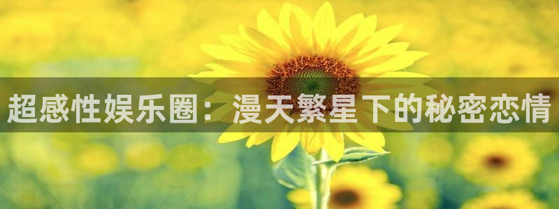 安信12登陆：超感性娱乐圈：漫天繁星下的秘密恋情