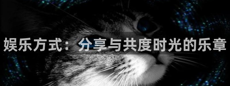 安信12平台登陆入口：娱乐方式：分享与共度时光的乐章