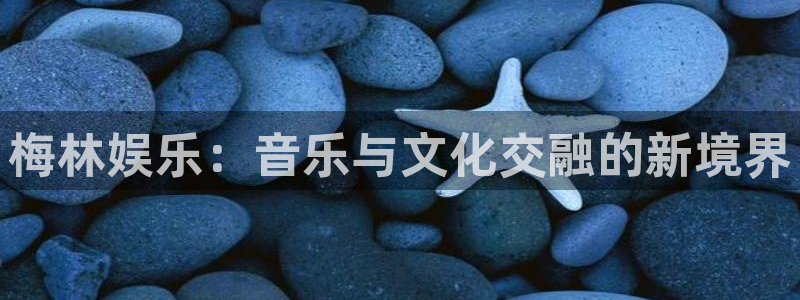 安信12登陆：梅林娱乐：音乐与文化交融的新境界