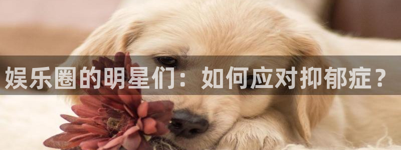 安信12登录地址：娱乐圈的明星们：如何应对抑郁症？