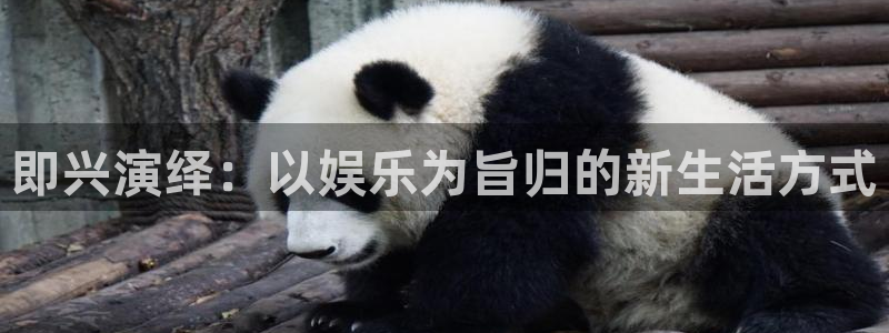 安信12最新版本更新内容：即兴演绎：以娱乐为旨归的新生活方式
