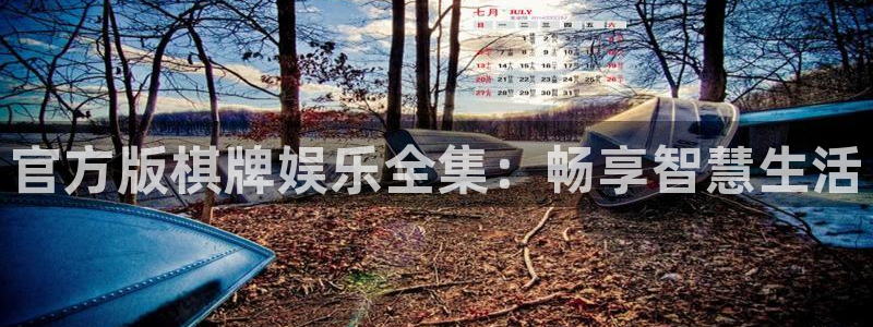安信12登录地址：官方版棋牌娱乐全集：畅享智慧生活
